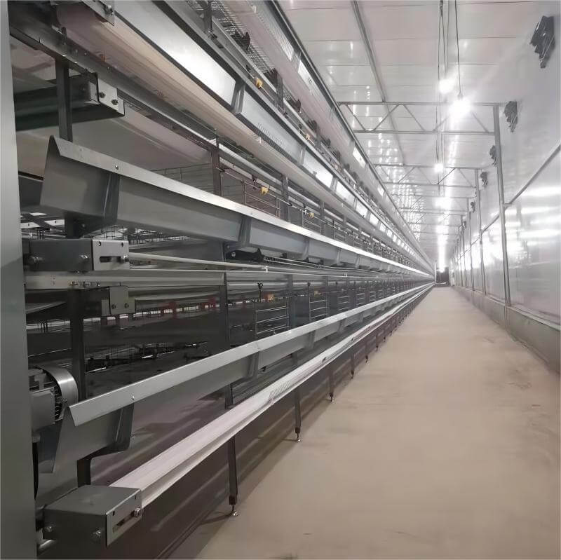 Heavy-duty layer cage system for farms