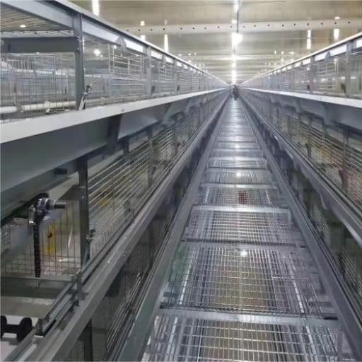 Системы клеток для кур-несушек Прайс-лист Услуги по строительству птичников под ключ